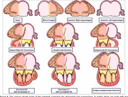 Segmental Sequential Analysis